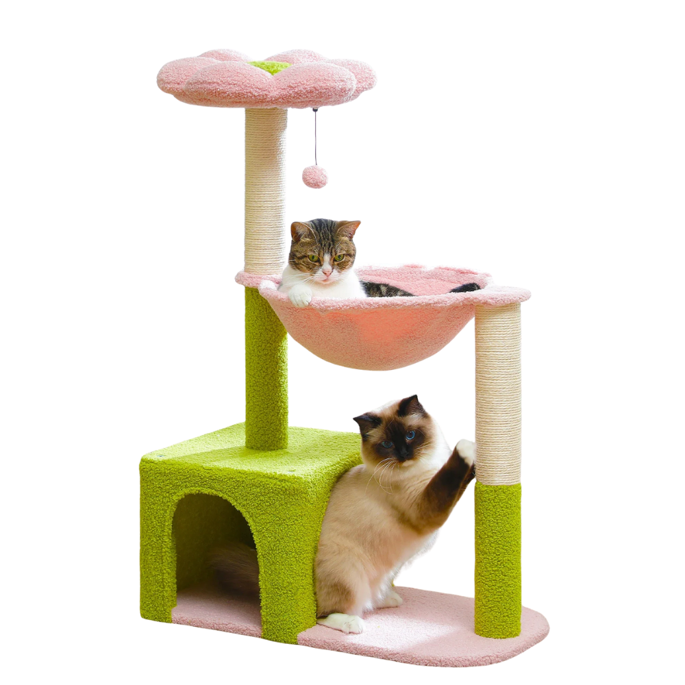Arbre à chat Fleur Condo Hamac-MeowGriff