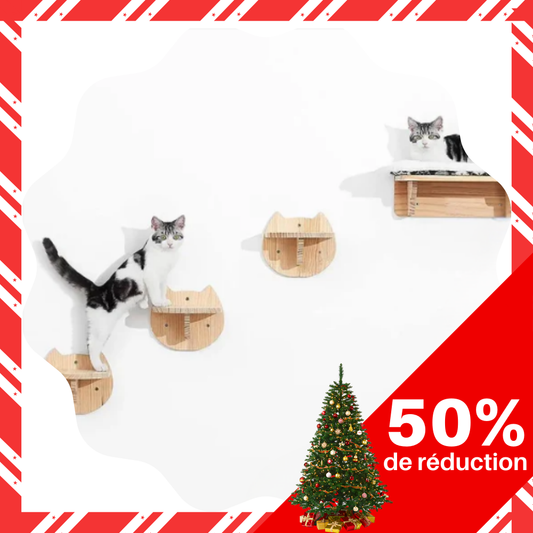 Lit mural en bois pour chat avec plateforme surélevée