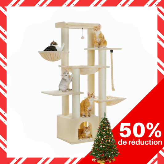 Château robuste à 7 niveaux pour chats