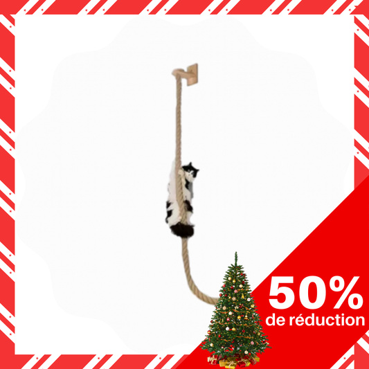 Corde à grimper en bois massif pour chat avec sisal
