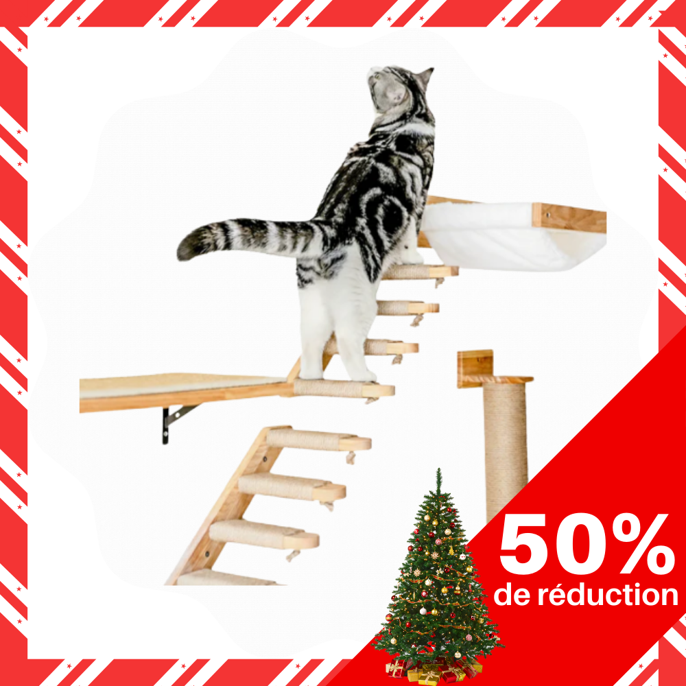 Hamac mural en bois pour chat