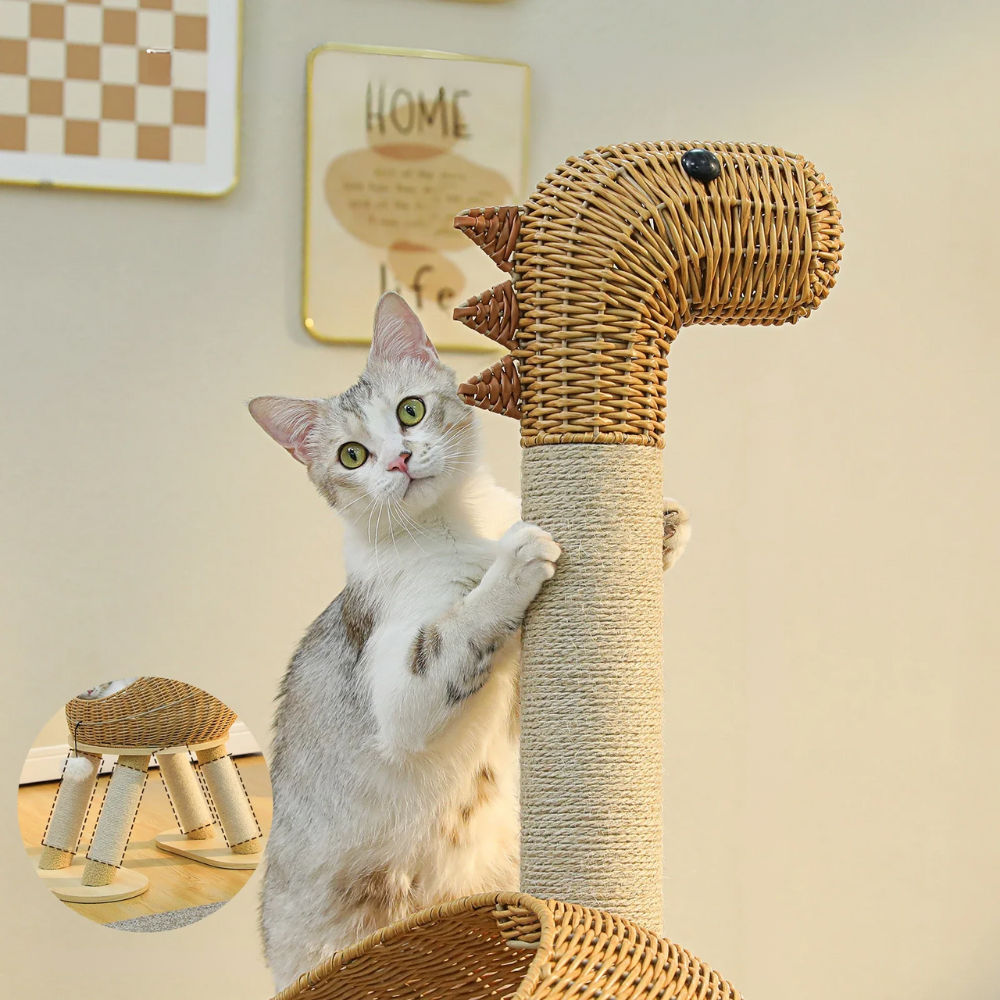 Arbre à Chat Dino Style Boho