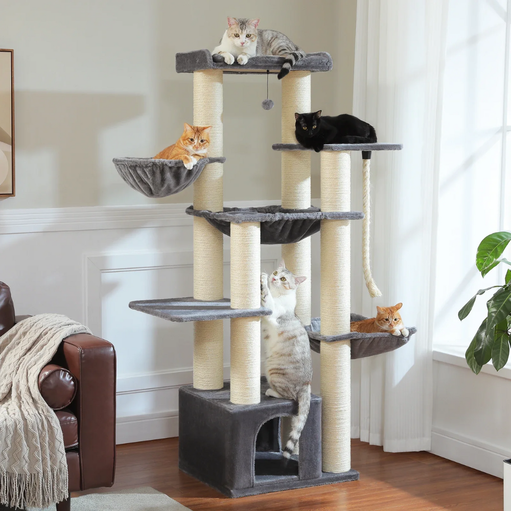 Château robuste à 7 niveaux pour chats