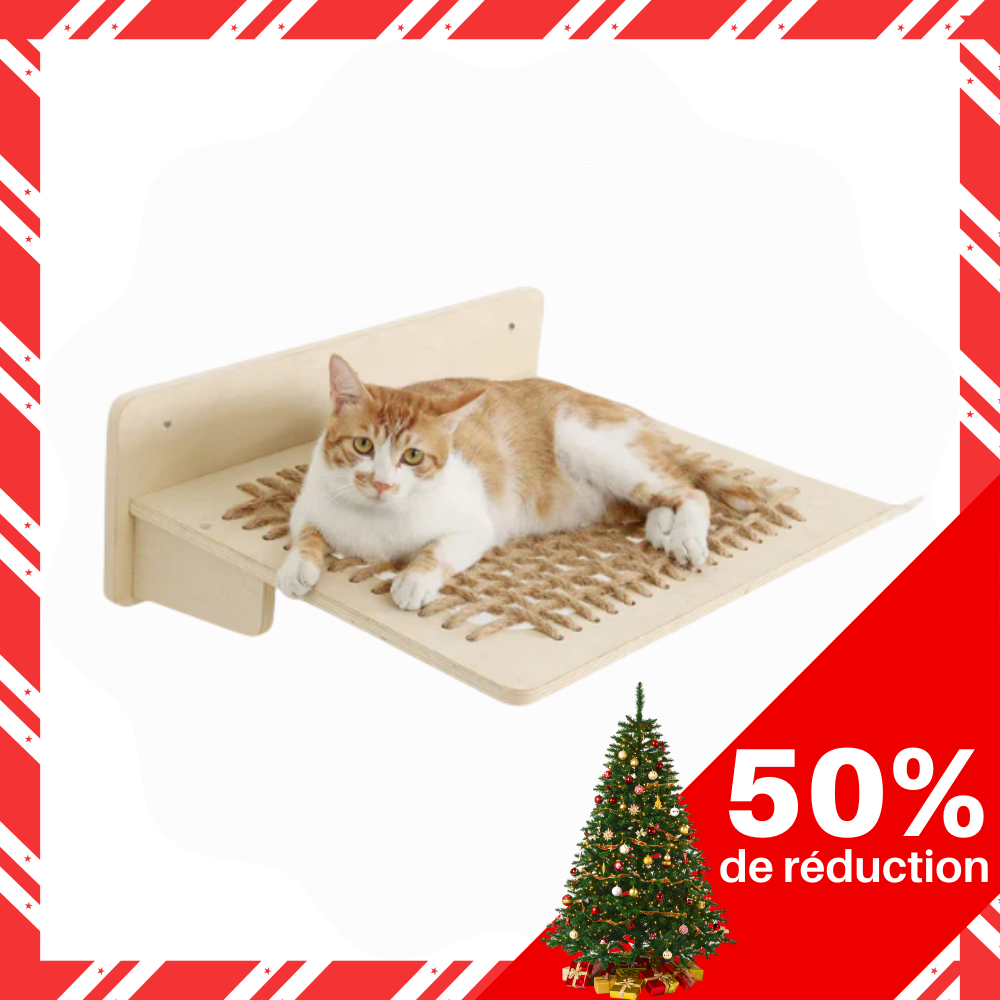 Meuble mural pour chat avec hamac, étagère et griffoir