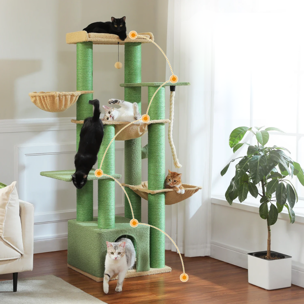 Château robuste à 7 niveaux pour chats