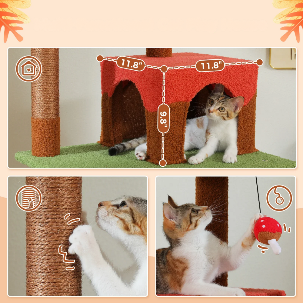 Condo pour chat Champignon avec hamac