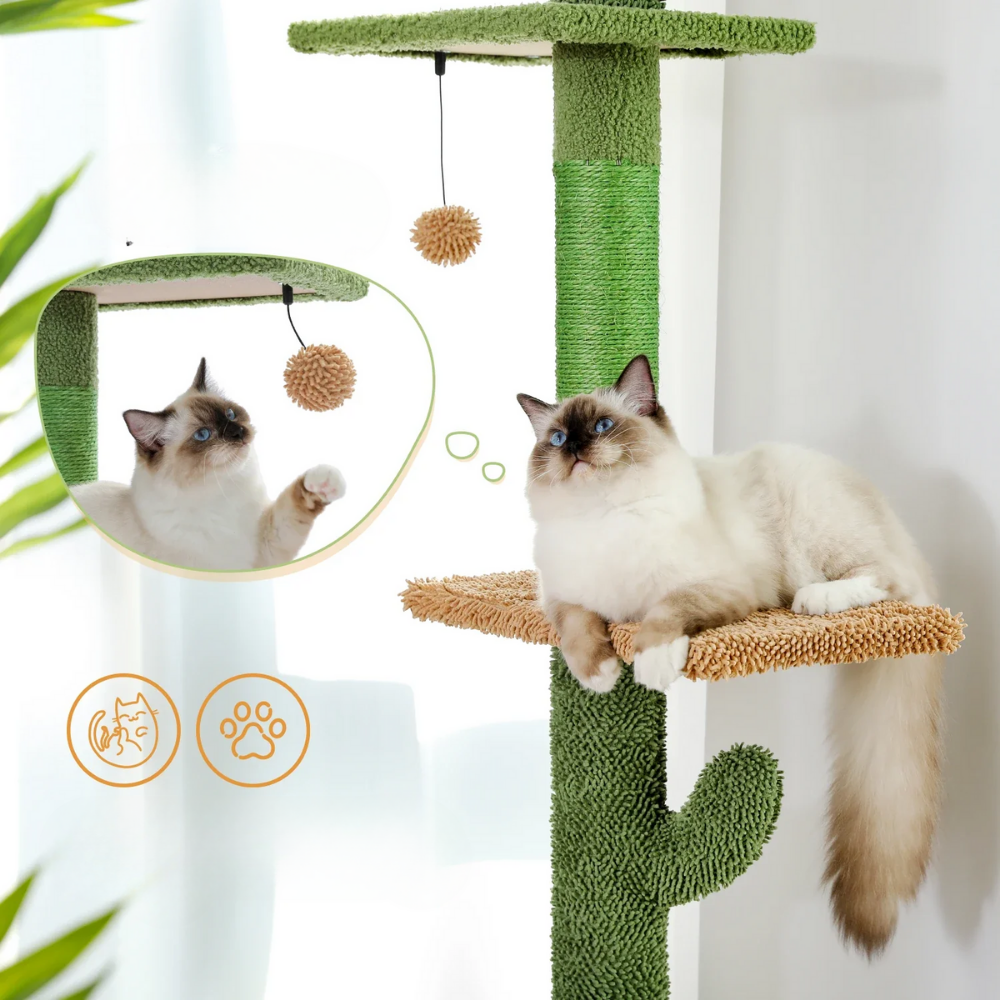 Arbre à chat Cactus Réglable Hamac