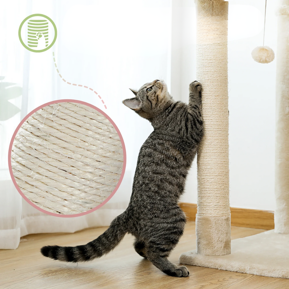 Tour à chat Réglable Sol-Plafond