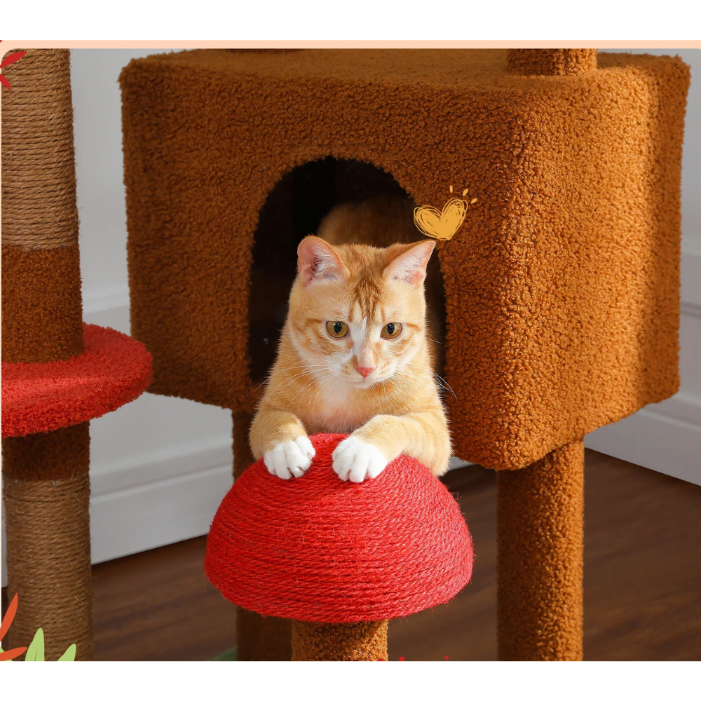 Tour pour chat ajustable Cactus Cat Tower Condo