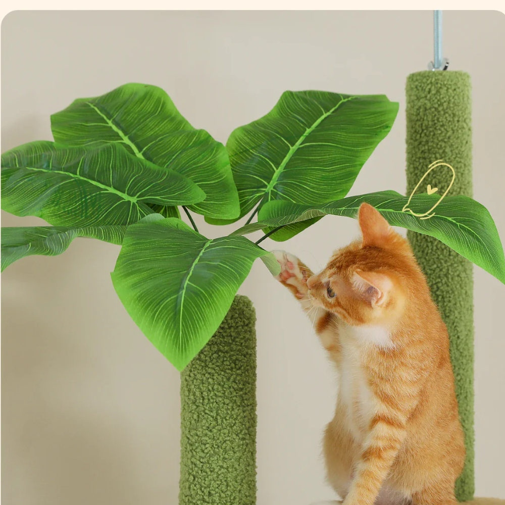 Tour pour chats Cactus Sky – Du sol au plafond
