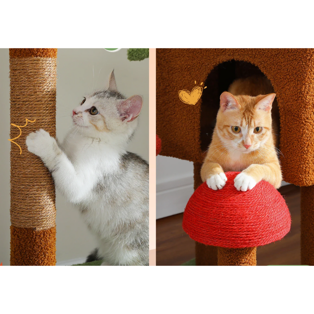 Tour pour chat ajustable Cactus Cat Tower Condo