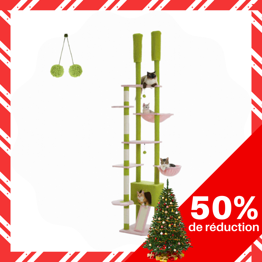 Tour pour chats Cactus Sky – Du sol au plafond