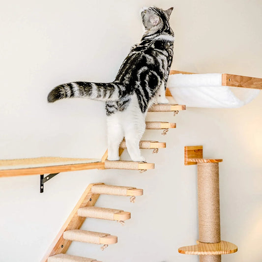 Hamac mural pour chat 1 pièce, lit pour chat en bois, étagères murales à griffer, plateforme d’escalade élevée, meuble arbre à chat d’intérieur.