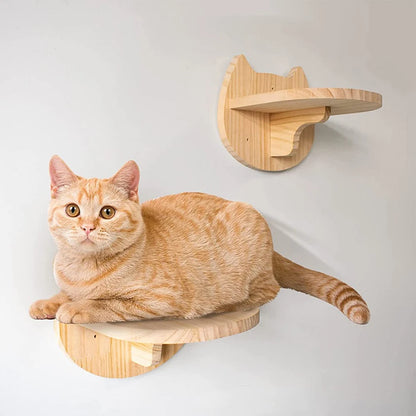 Étagère murale d’escalade pour chat avec échelle, marches, poteau à griffer en sisal, lit douillet et cachette – Tour d’arbre à chat modulaire d’intérieur et accessoires de mobilier pour animaux