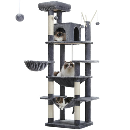 Grand Arbre à Chat