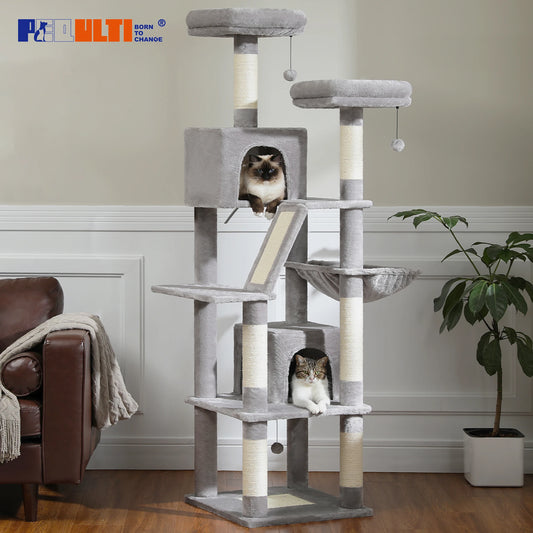 Grand Arbre à Chat