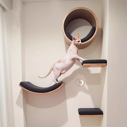 Arbre à chat en bois mural avec perchoirs flottants, poteaux à griffer en sisal, hamac, marches et échelle – Aire de jeux verticale pour chat peu encombrante