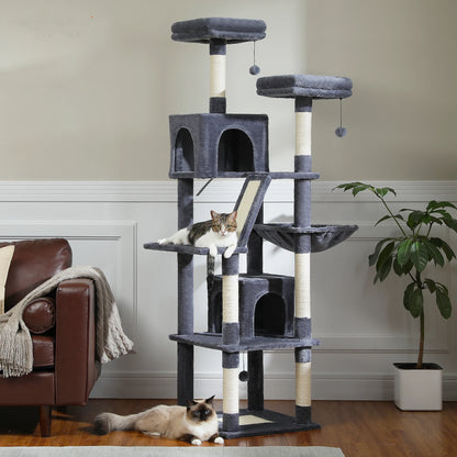 Grand Arbre à Chat