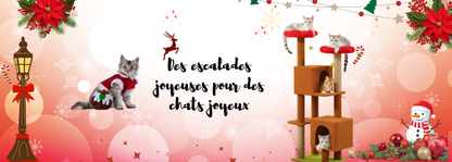 Lit mural en bois pour chat avec plateforme surélevée