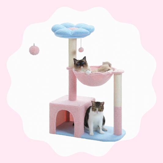 Arbre à chat moderne à plusieurs niveaux avec coins détente
