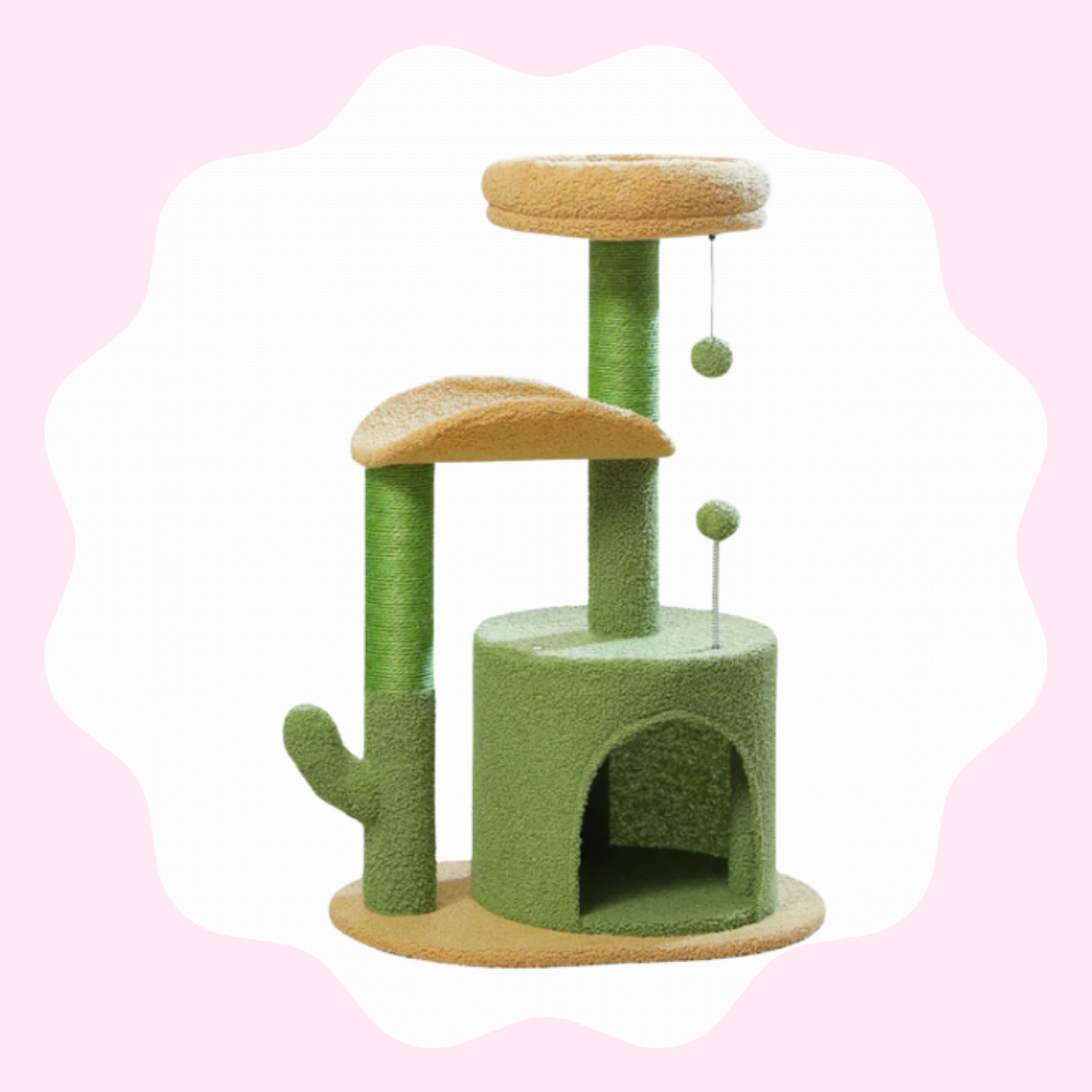 Arbre à chat moderne à plusieurs niveaux avec coins détente