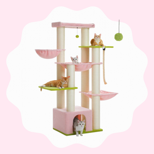 Arbre à chat multi-niveaux robuste