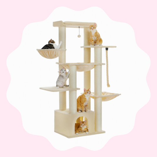 Château robuste à 7 niveaux pour chats
