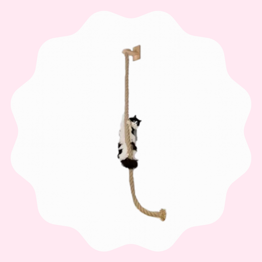 Corde à grimper en bois massif pour chat avec sisal