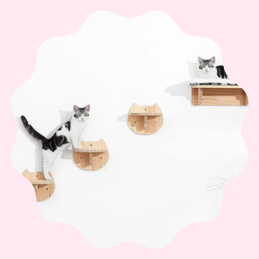 Lit mural en bois pour chat avec plateforme surélevée