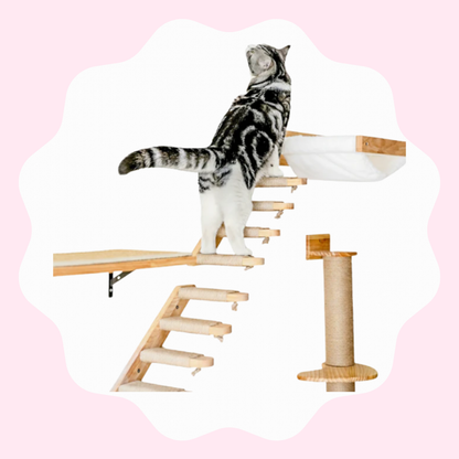 Hamac mural en bois pour chat