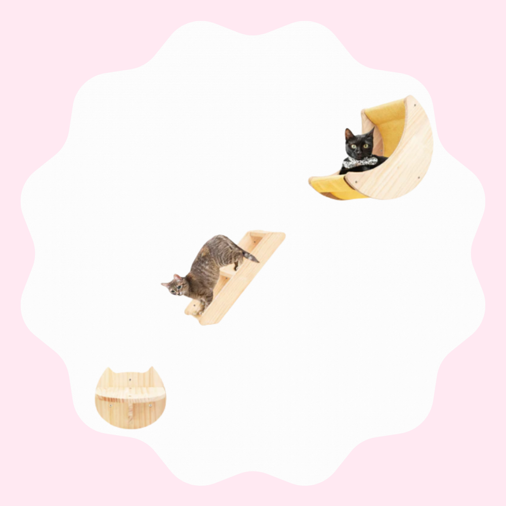 Étagère murale en forme de lune pour chat avec hamac et échelle